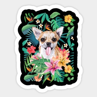 Tropical Short Haired Fawn and White Chihuahua Sticker